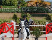 CHIAUDANI AMERICAN BLUE CampITA2013- S5 9078 : AMERICAN BLUE VAN EEKLELCHEM, CHIAUDANI NATALE, Campionati Italiani 2013, Cattolica, Horse Riviera Resort, foto di Stefano Secchi ©
